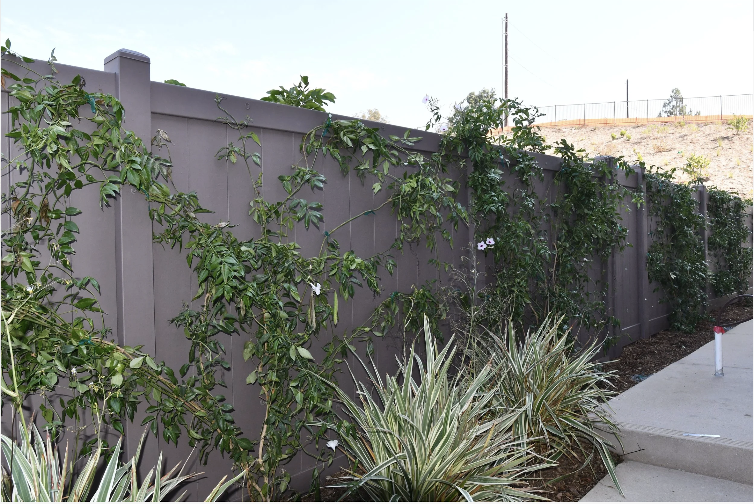 Zone Zero compliant fire-resistant fencing by MWF Solutions